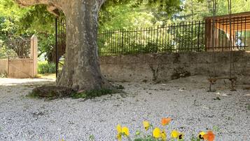 Áreas de la propiedad