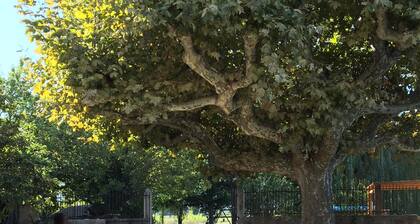 Gßtes dans les vignes, parc, piscine, aire de jeux, terrain de pétanque, ...