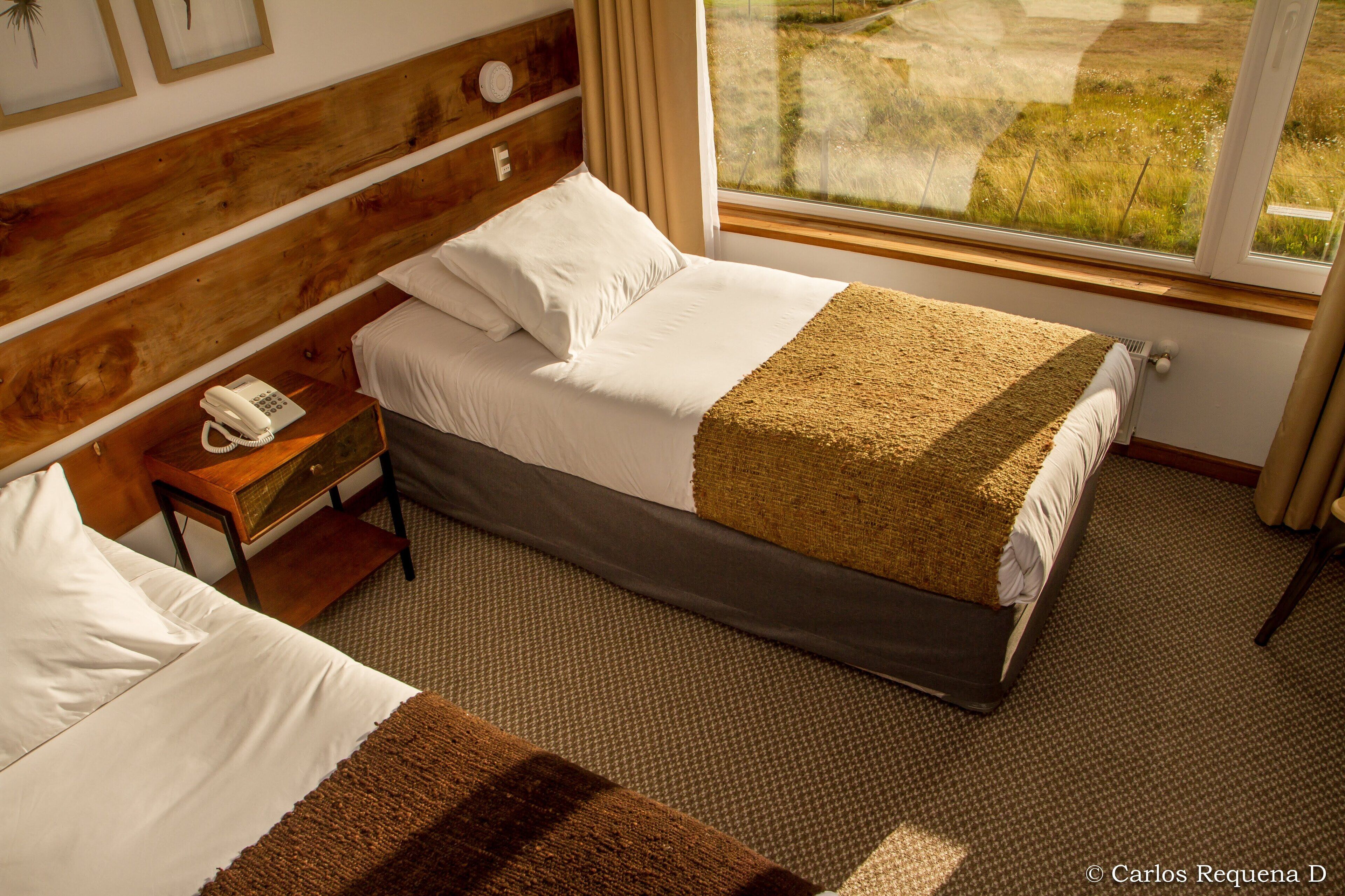 room, 2 single beds | premium bedding, down duvets, pillow-top beds, in-room safe