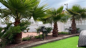 A well-maintained garden with palm trees, a paved walkway, and outdoor seating areas.