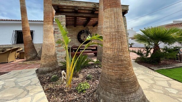 A covered outdoor area with palm trees, a stone bench, and a small garden.