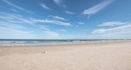 Verano sin fin en el centro de St. Agustín ★★★★★