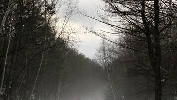 A snow-covered forest path with bare trees and a distant signpost.