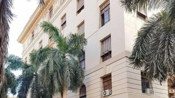 A balcony with a view of a multi-story building, palm trees, and a tissue box on a chair. - Cairo Hotel (Cairo)