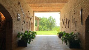 Espaço interno com paredes de tijolo, plantas em vasos e ferramentas penduradas.