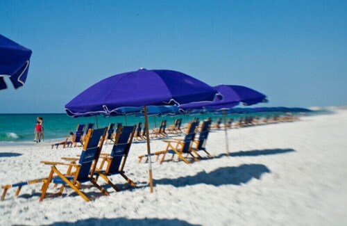 special, complete and fun