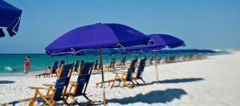 special, complete and fun