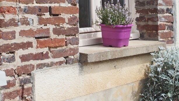 A brick wall with a 'BONJOUR' sign, a window, and a purple flower pot on a ledge.