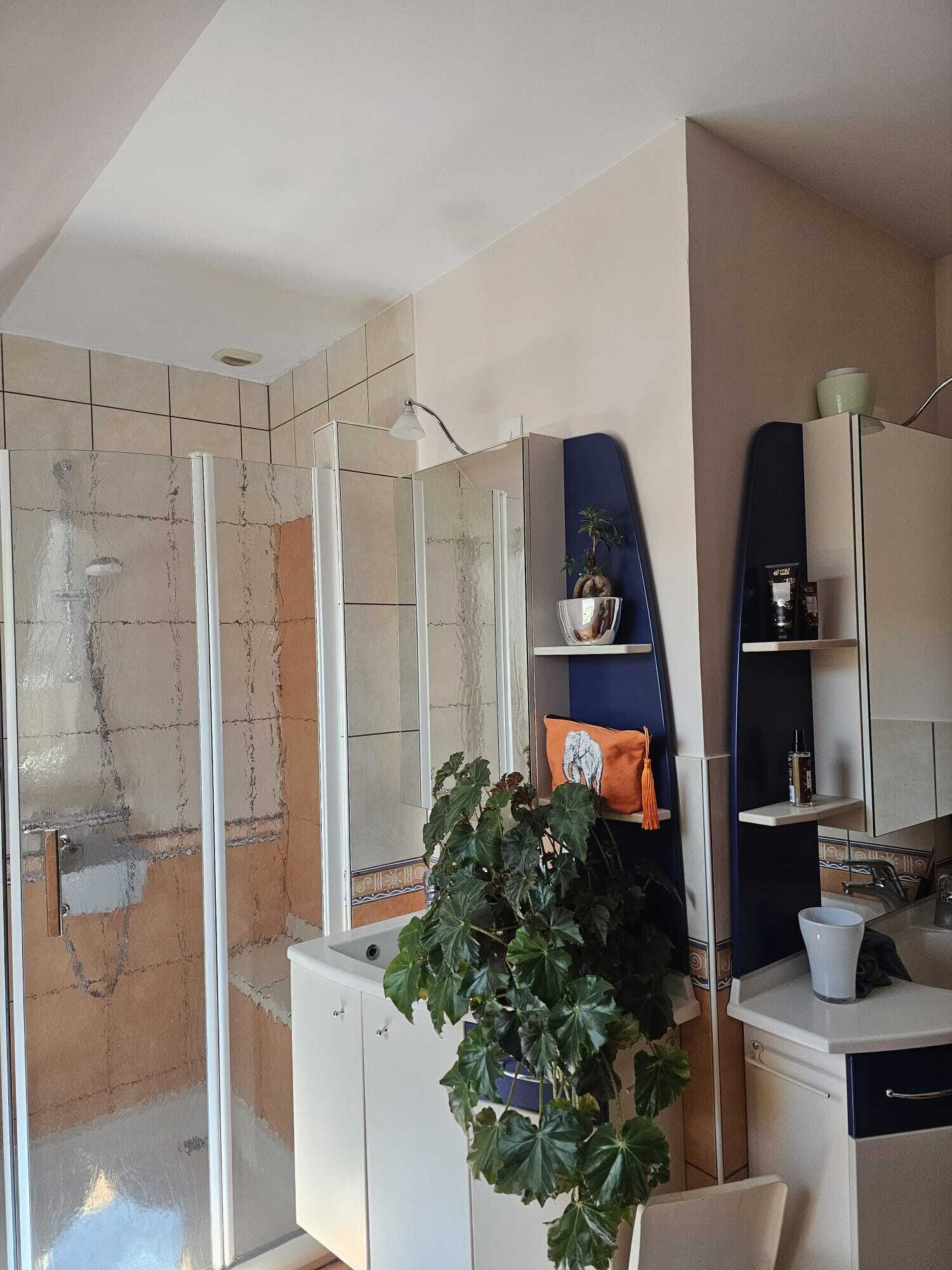 Badkamer