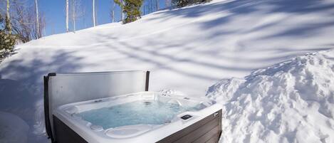 House (2338 Tahoe Drive) | Spa