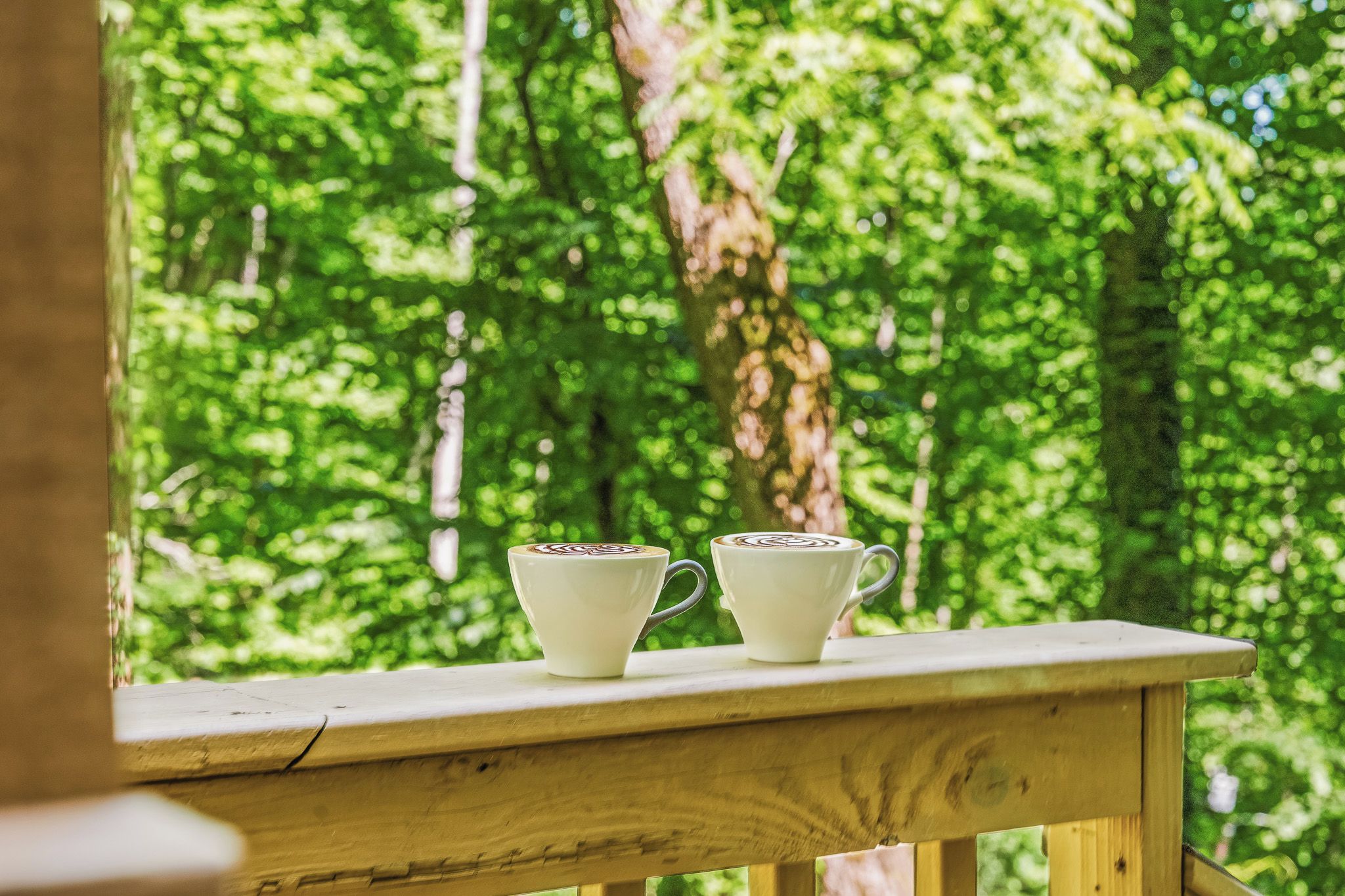 Deux tasses blanches ornées de motifs réalisés avec de la mousse de lait, posées sur une étagère en bois, avec vue sur une forêt.