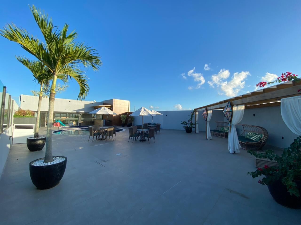 A rooftop patio with outdoor seating, a palm tree, and a pool in the background.