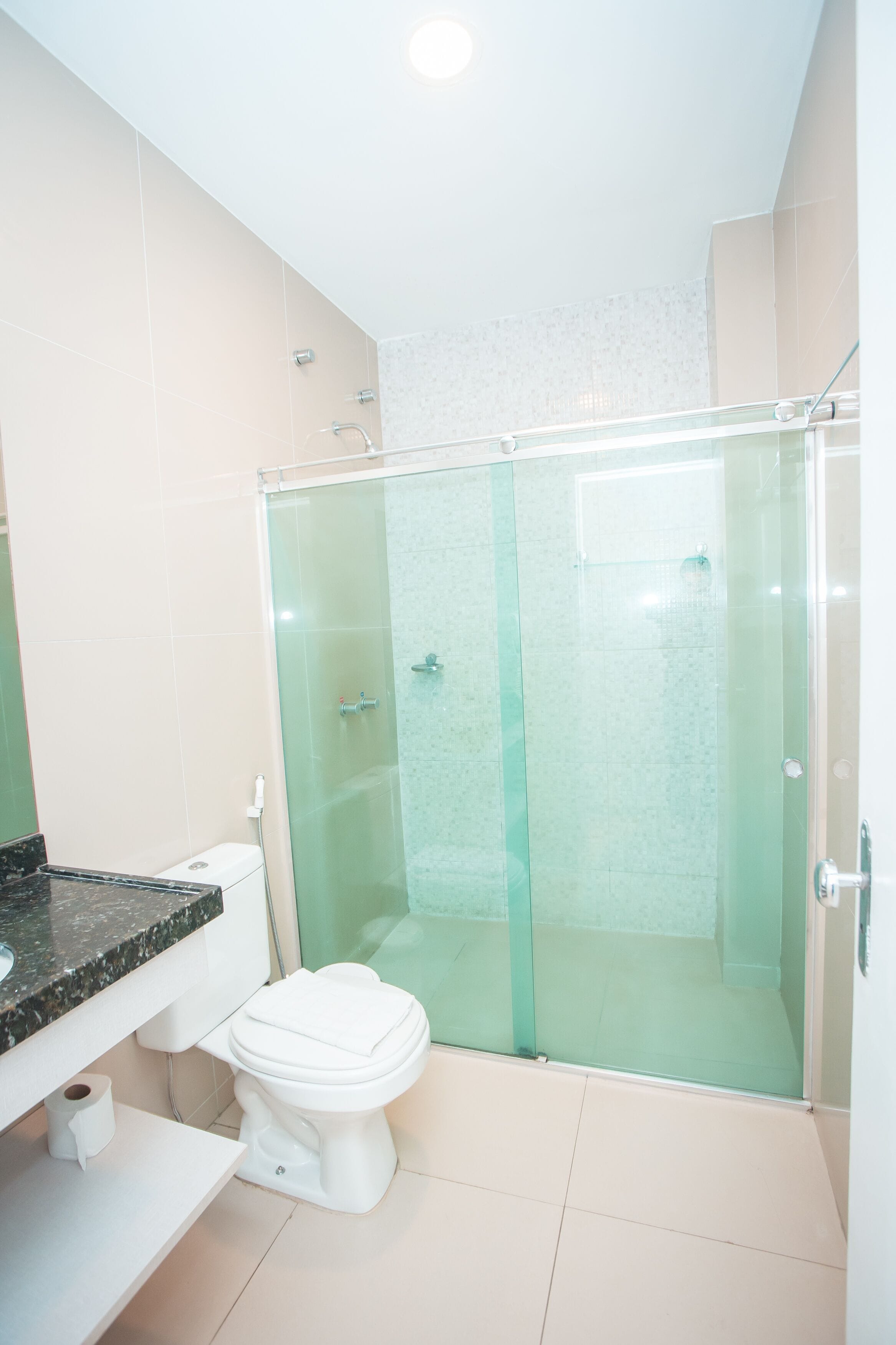 shower, free toiletries, bidet, towels