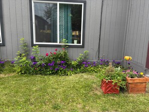 Une maison avec une fenêtre, un jardin avec différentes plantes et un jardinière en bois.
