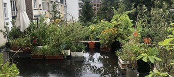 Schuman Apartment near European Commission