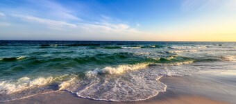 Dog-friendly coastal haven with premium beach perks & resort indulgence