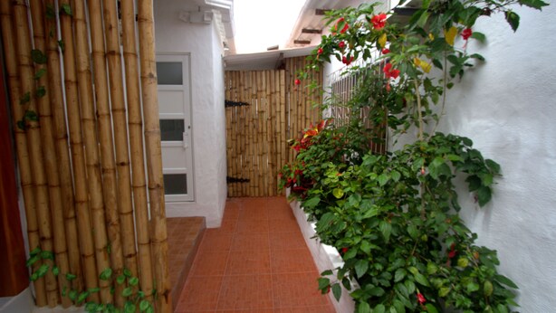Unclassified image, 1 of 37, button - Zurisadai (Puerto Ayora)