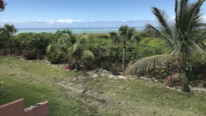 Un exuberante jardín con palmeras y plantas en flor, que da a una playa con aguas azul cristalino y una costa distante.
