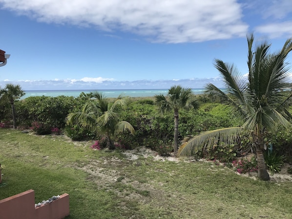 Un exuberante jardín con palmeras y plantas en flor, que da a una playa con aguas azul cristalino y una costa distante.