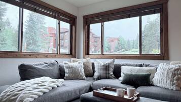Smart TV, chimenea, reproductor de DVD y libros