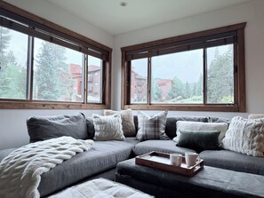 Smart TV, fireplace, DVD player, books