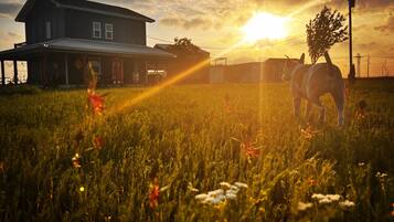 Enceinte de l’hébergement