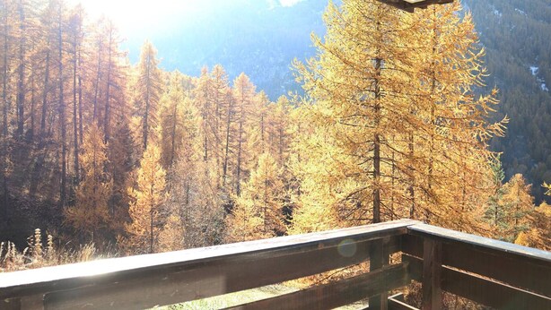 A balcony with a view of a forested mountain area.