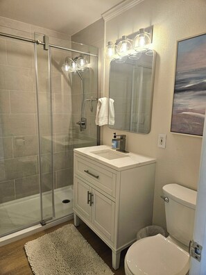 Une salle de bain avec une douche à parois de verre, un lavabo blanc avec un miroir au-dessus, et des toilettes.