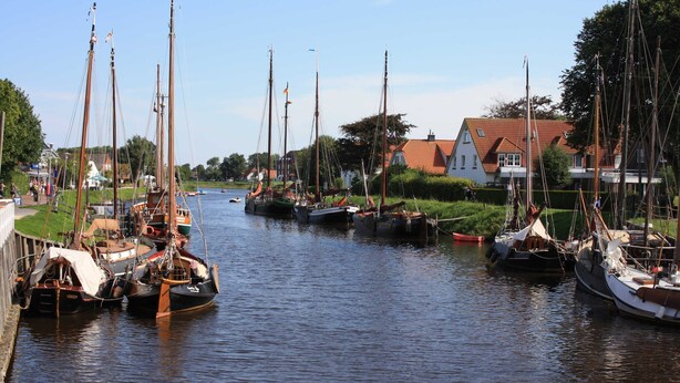 Een jachthaven met diverse zeilboten afgemeerd langs een rustig water, omringd door woongebouwen en begroeiing.