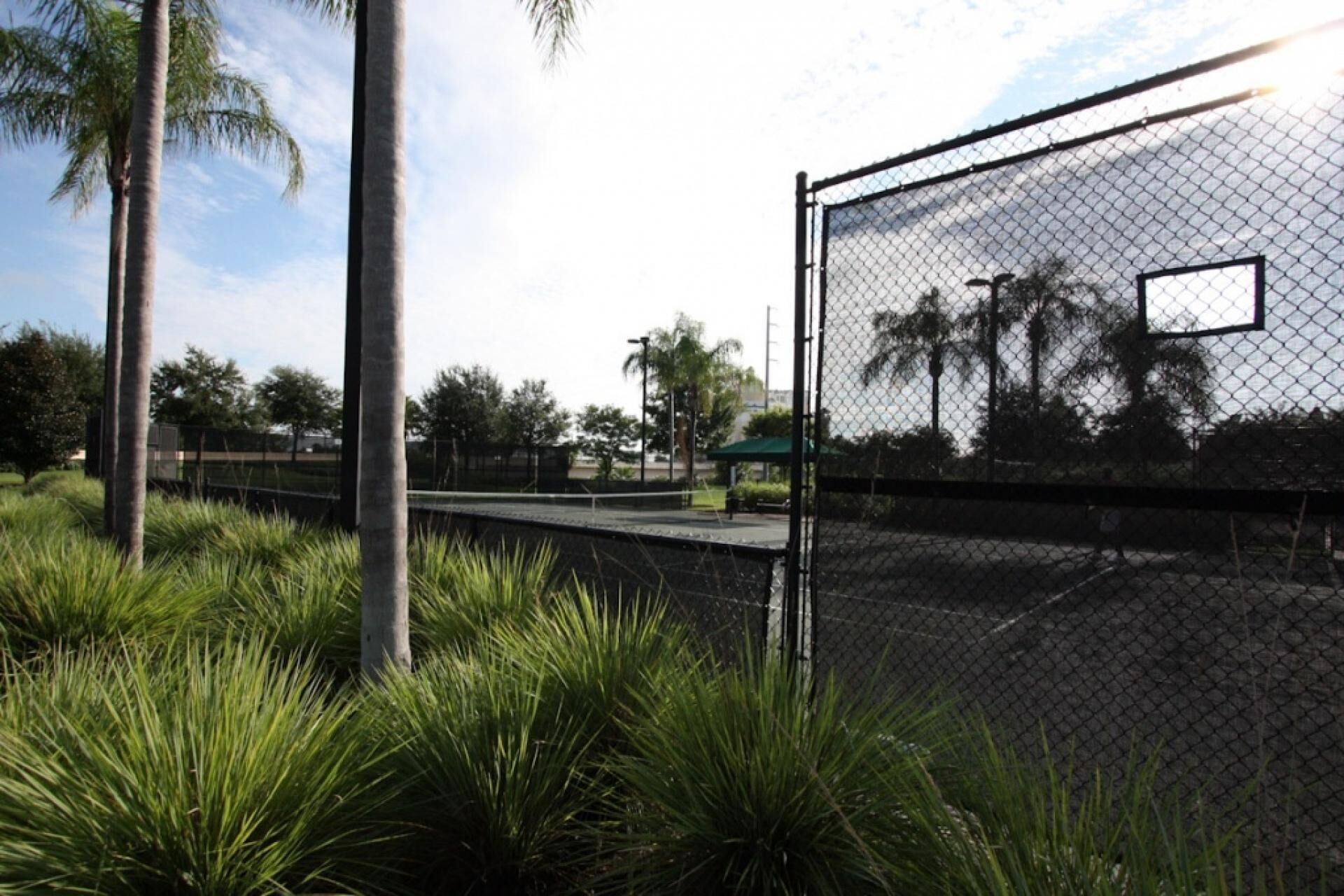 A tennis court enclosed by a chain-link fence, surrounded by palm trees and greenery.