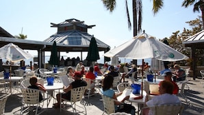 An outdoor dining area with white chairs and umbrellas, overlooking a body of water. - 579 Little Harbor (Ruskin)