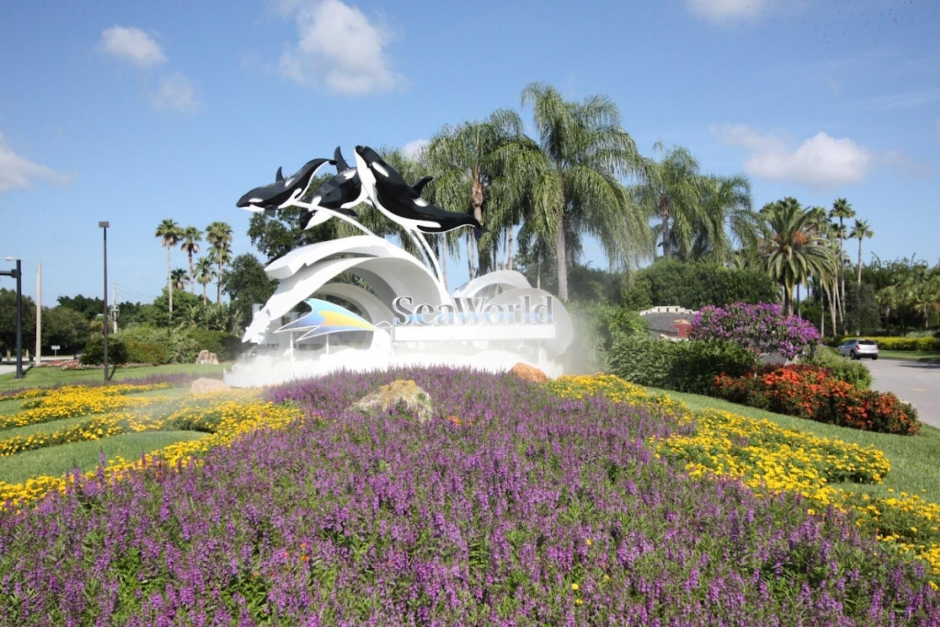 A landscaped area with a 'SeaWorld' sign, surrounded by colorful flower beds and palm trees.