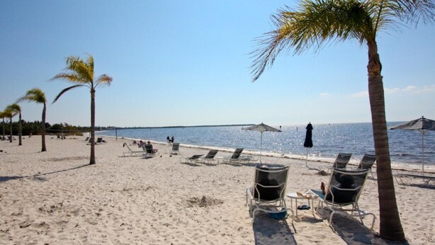 Una spiaggia con lettini e palme.