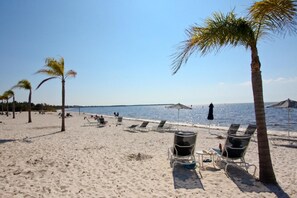 A beach with sun loungers and palm trees. - 573 Little Harbor (Ruskin)