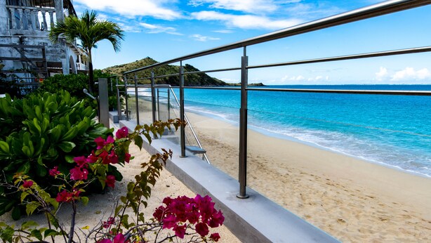 A beach view with a concrete walkway, palm trees, and bougainvillea flowers. - Apartment on the beach (Grand-Case)