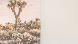 Un sofá de madera con cojines estampados, una planta de cactus sobre una mesita y un cuadro de un paisaje desértico en la pared.