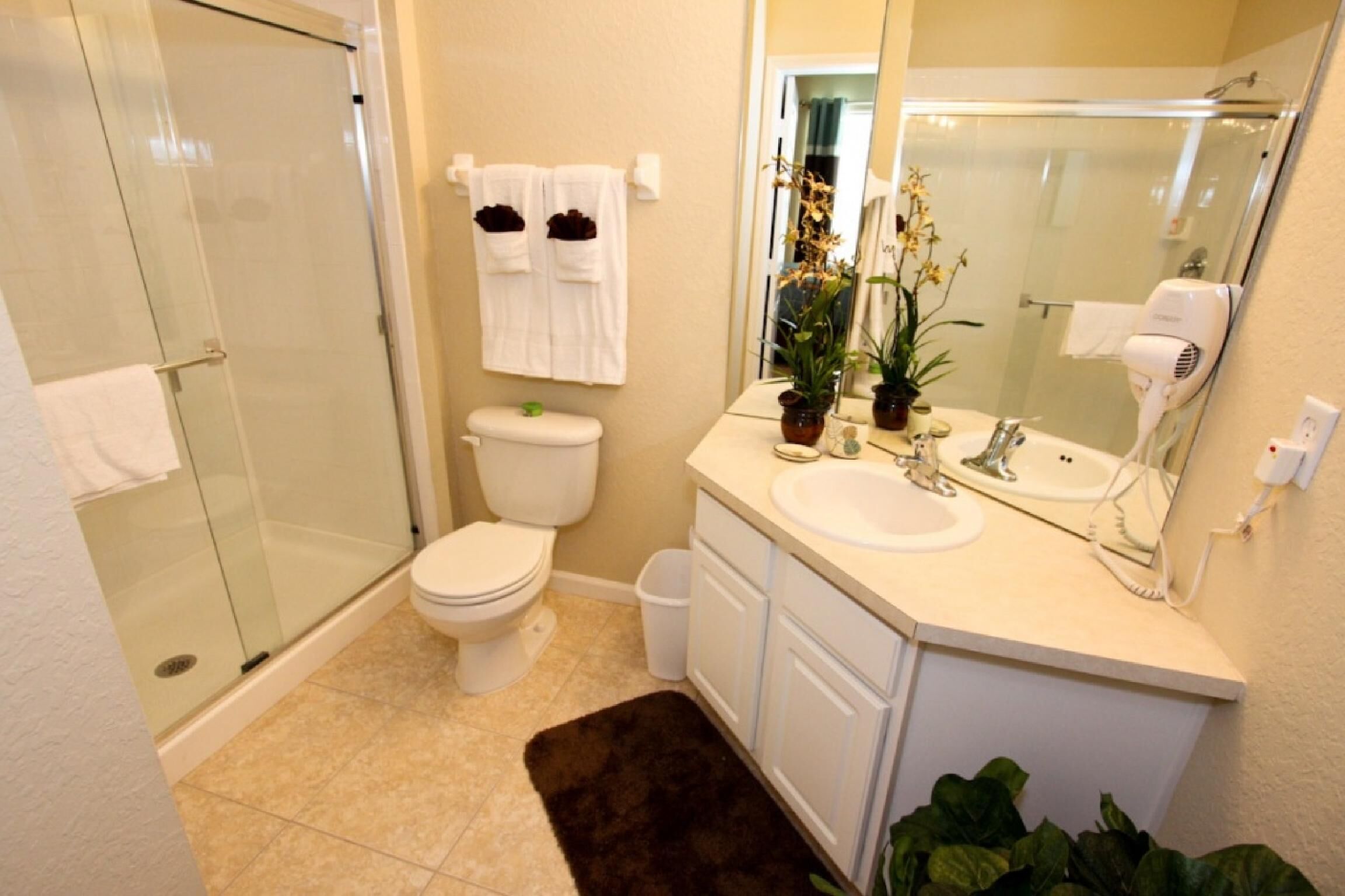 A bathroom with a glass shower enclosure, a toilet, a sink, and a mirror.