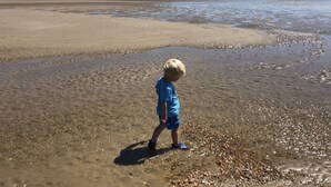 A child walking on a pebbly beach with a clear sky.