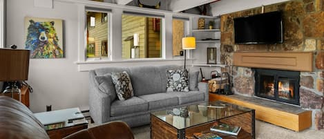 Smart TV, fireplace, DVD player, books