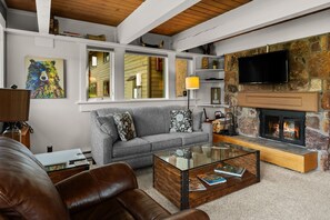 Smart TV, fireplace, DVD player, books