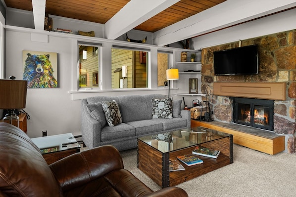 Smart TV, fireplace, DVD player, books