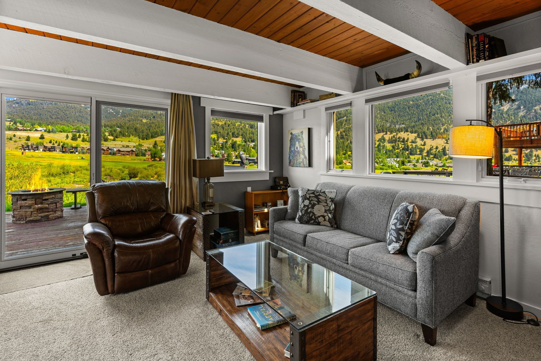 TV connectée, cheminée, lecteur de DVD, livres