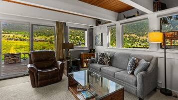 Smart TV, fireplace, DVD player, books