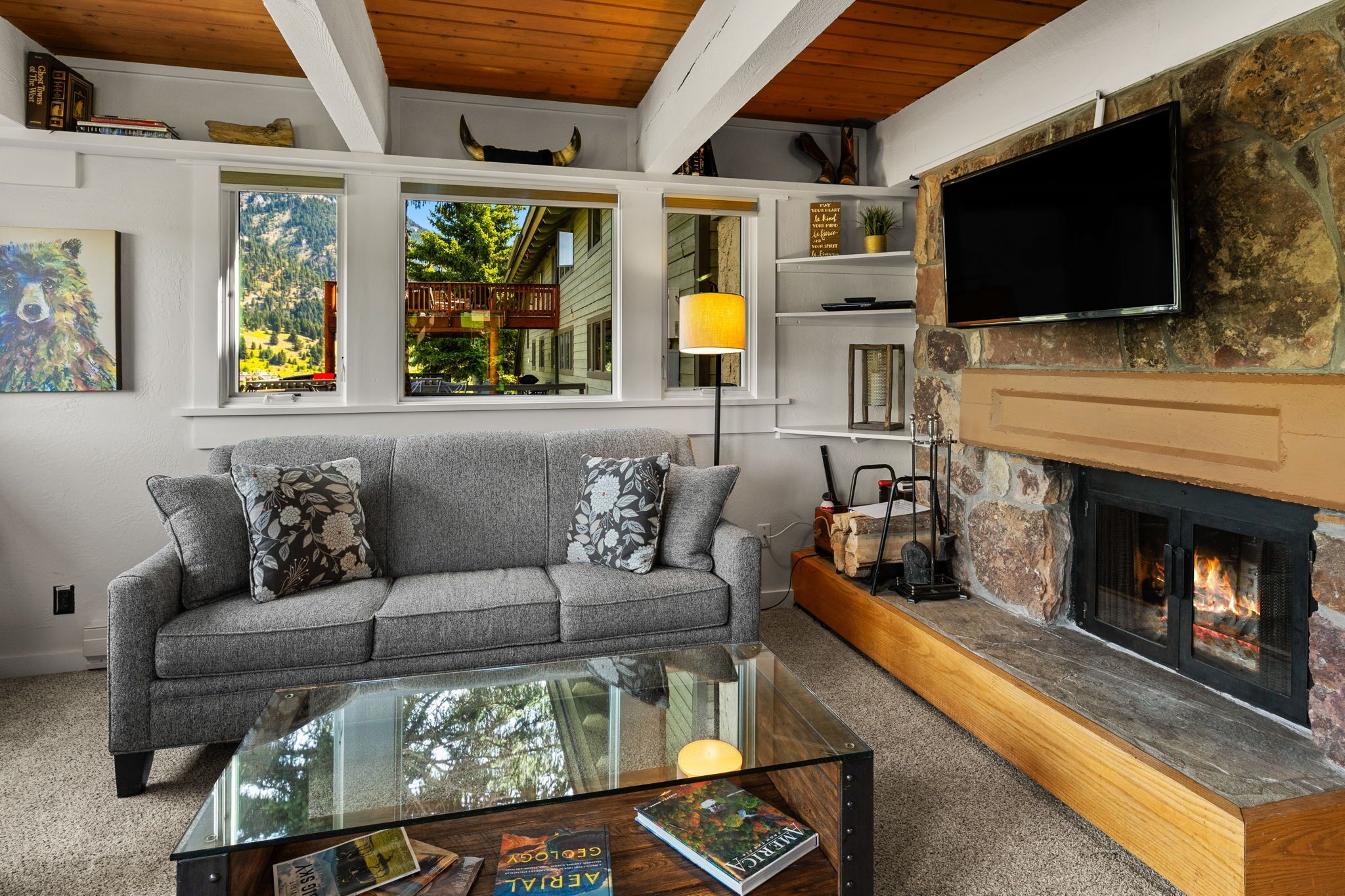 智能电视、壁炉、DVD 播放器、书