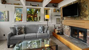 TV connectée, cheminée, lecteur de DVD, livres