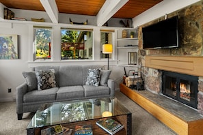 Smart TV, chimenea, reproductor de DVD y libros