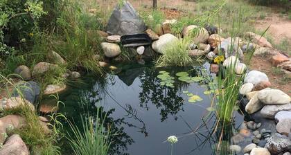 Splendid Sunny Guest Suite, Private Bath, Country Setting. Romantic getaway !