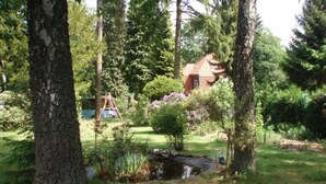 A house surrounded by trees and a small stream.