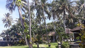 A tropical garden with palm trees, a stone pathway, and a building with a tiled roof.