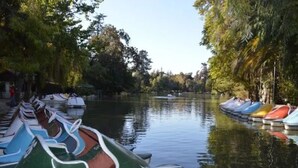 Un río tranquilo con barcos amarrados a ambas orillas, rodeado de árboles.